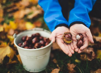 collecting treasure